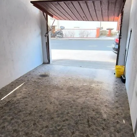 Ana Mina * 茨里克韦尼察